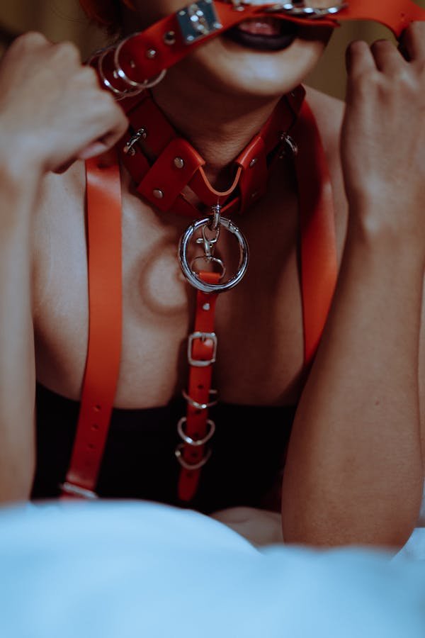 Harnais de luxe Brigade Mondaine : l'élégance du bondage